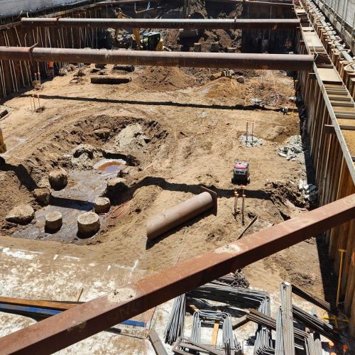 gallery_geconsult-Nature gallery_geconsult-Nature